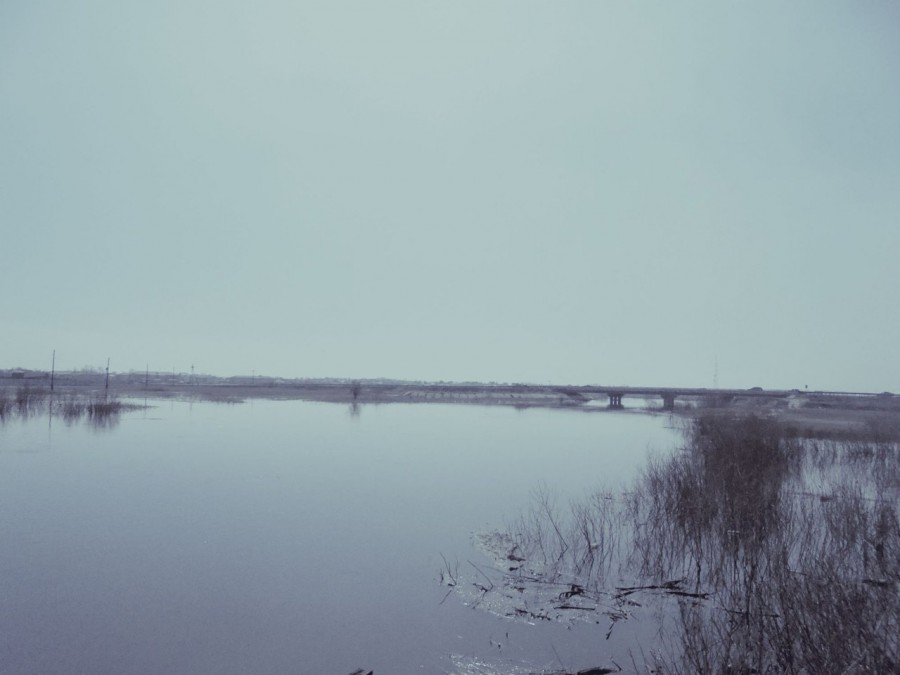 Река Карасук разливается...2032